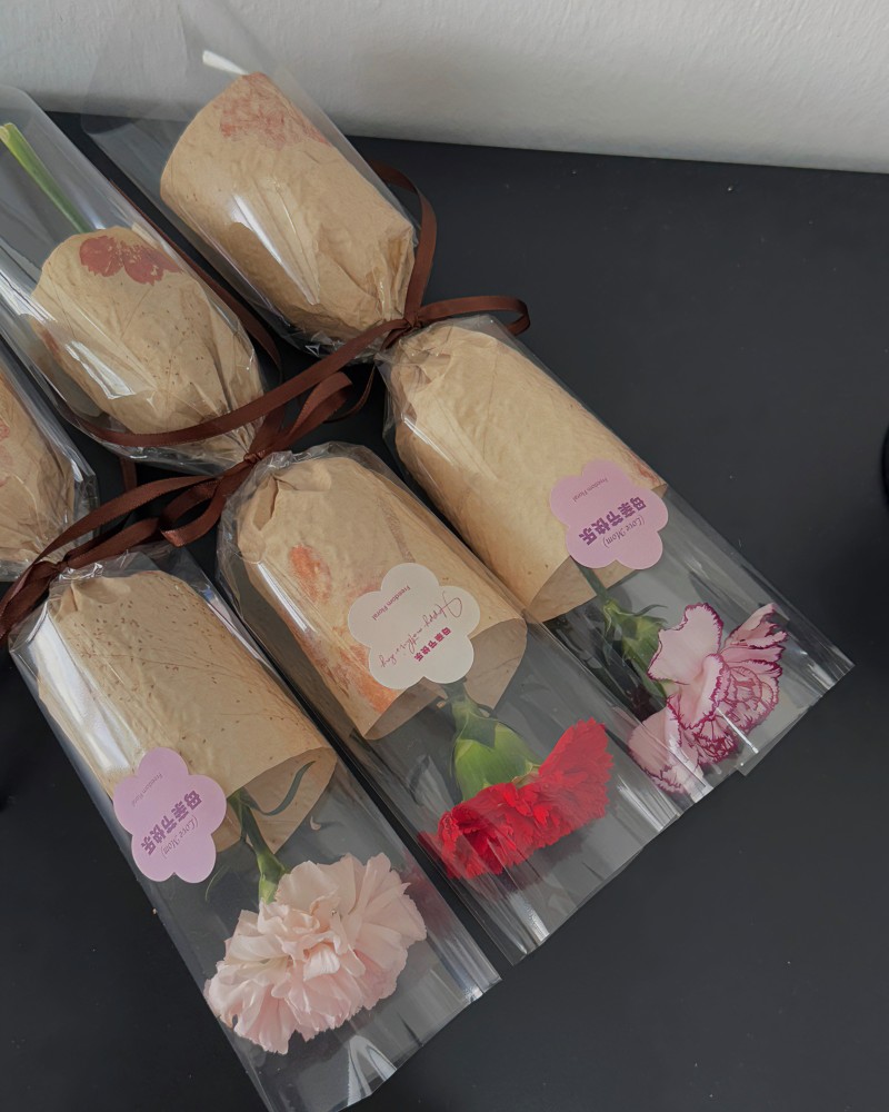 单朵康乃馨 （鲜花）
