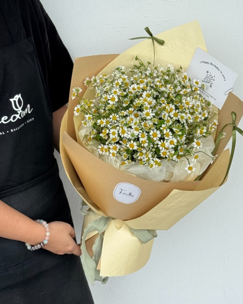 初夏微光 Summer Glow