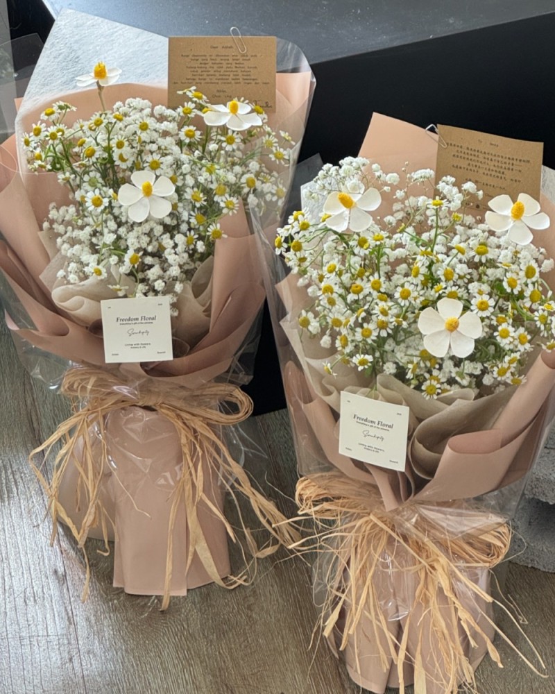 晴日和风 Sunny Breeze