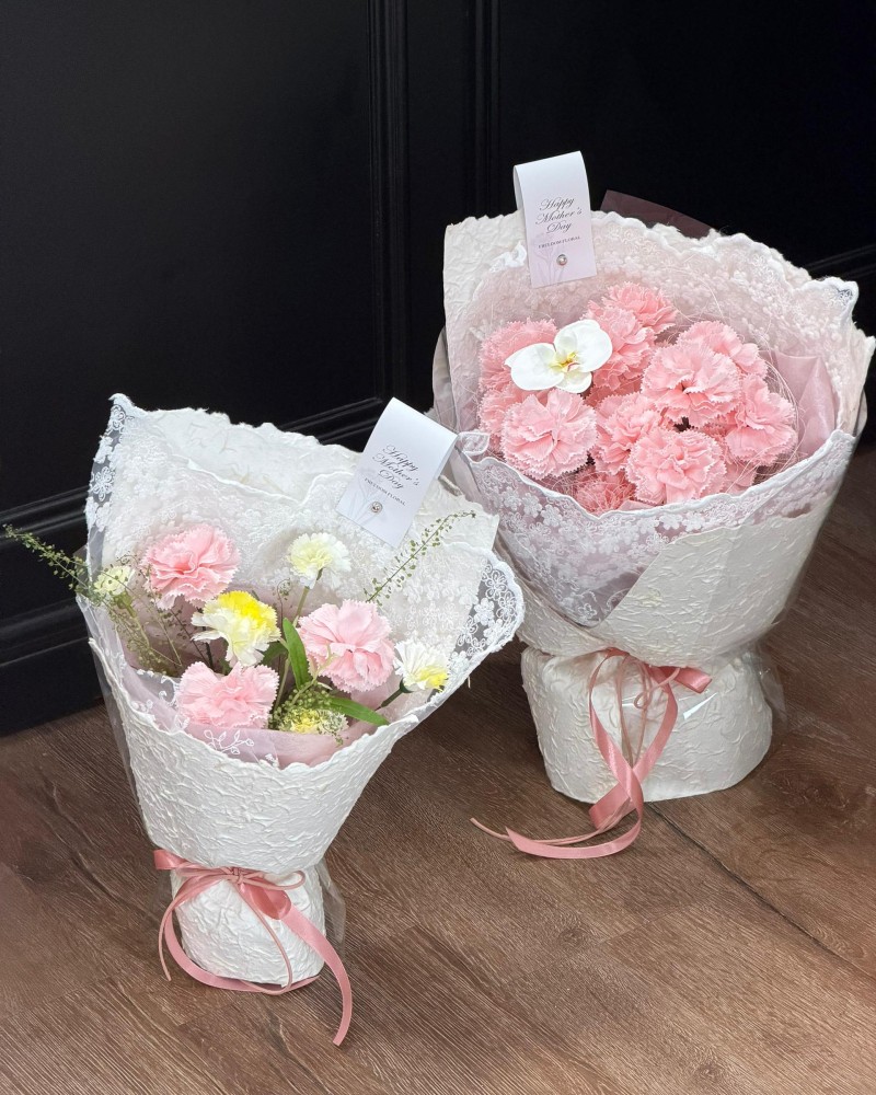 经典康乃馨系列 Classic Carnation